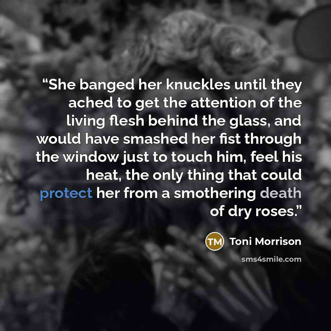 “She banged her knuckles until they ached to get the attention of the living flesh behind the glass, and would have smashed her fist through the window just to touch him, feel his heat, the only thing that could protect her from a smothering death of dry roses.” quote by Toni Morrison