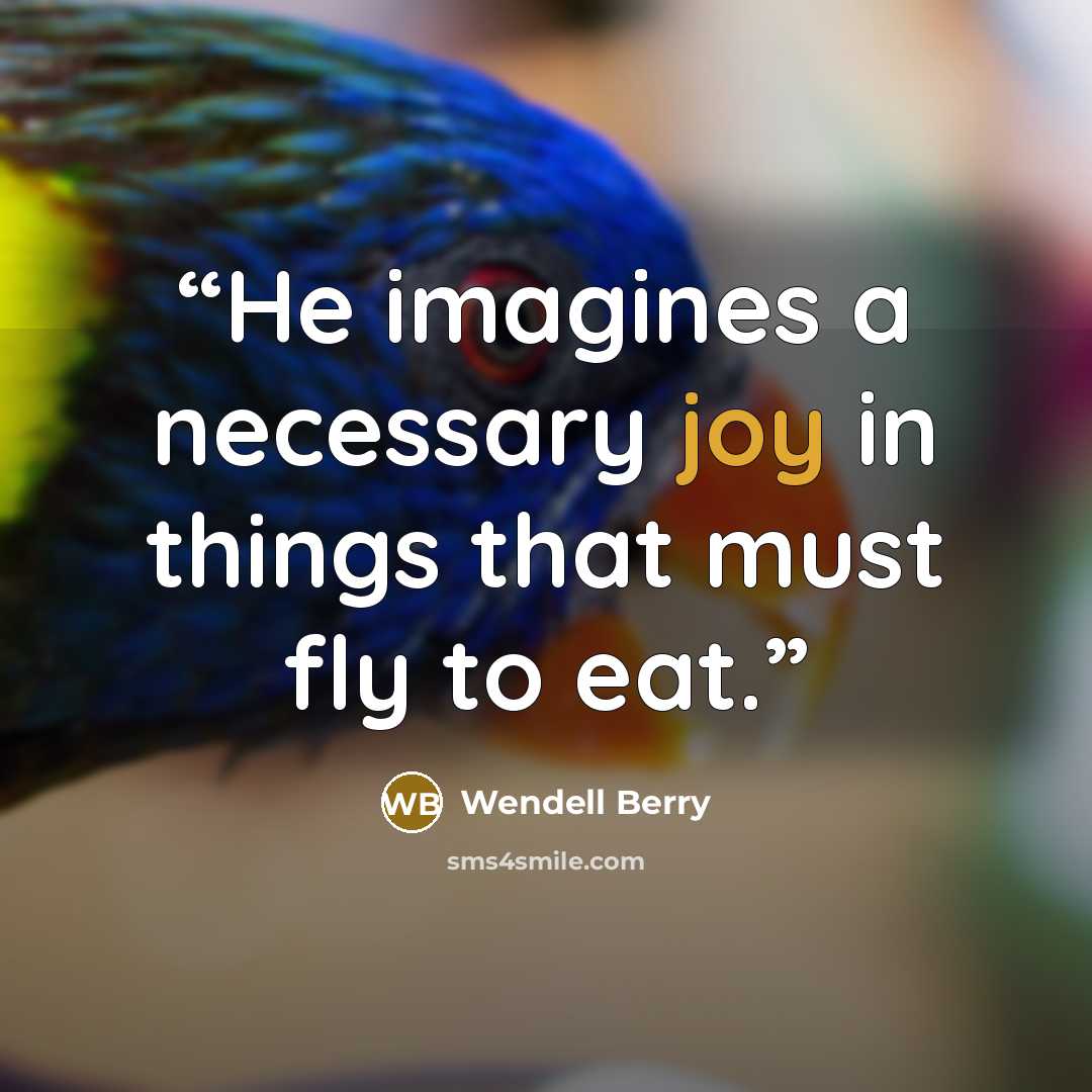 “He imagines a necessary joy in things that must fly to eat.” quote by Wendell Berry