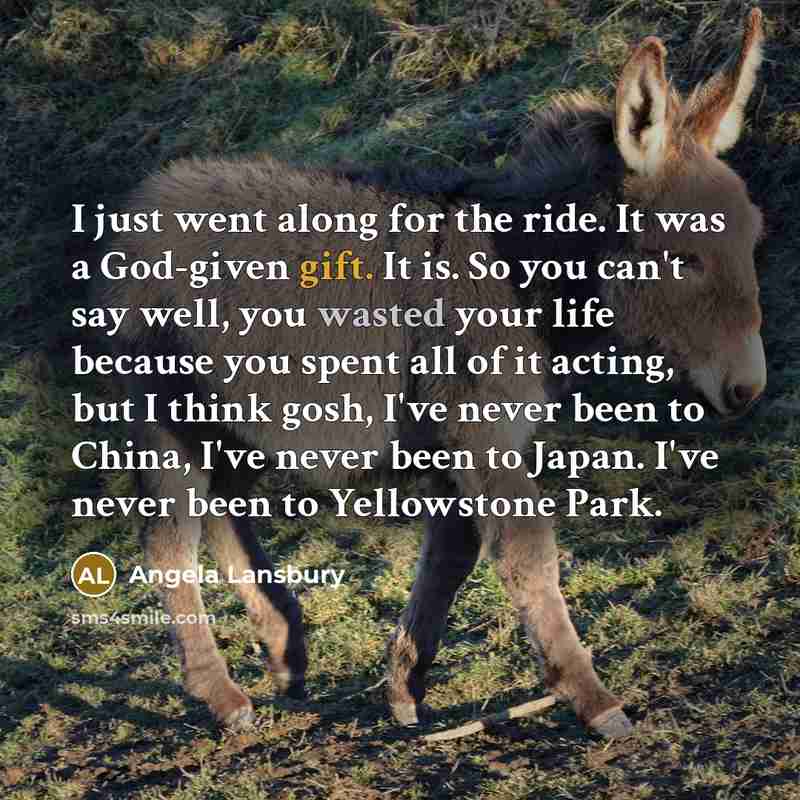 “I just went along for the ride. It was a God-given gift. It is. So you can't say well, you wasted your life because you spent all of it acting, but I think gosh, I've never been to China, I've never been to Japan. I've never been to Yellowstone Park.” quote by Angela Lansbury