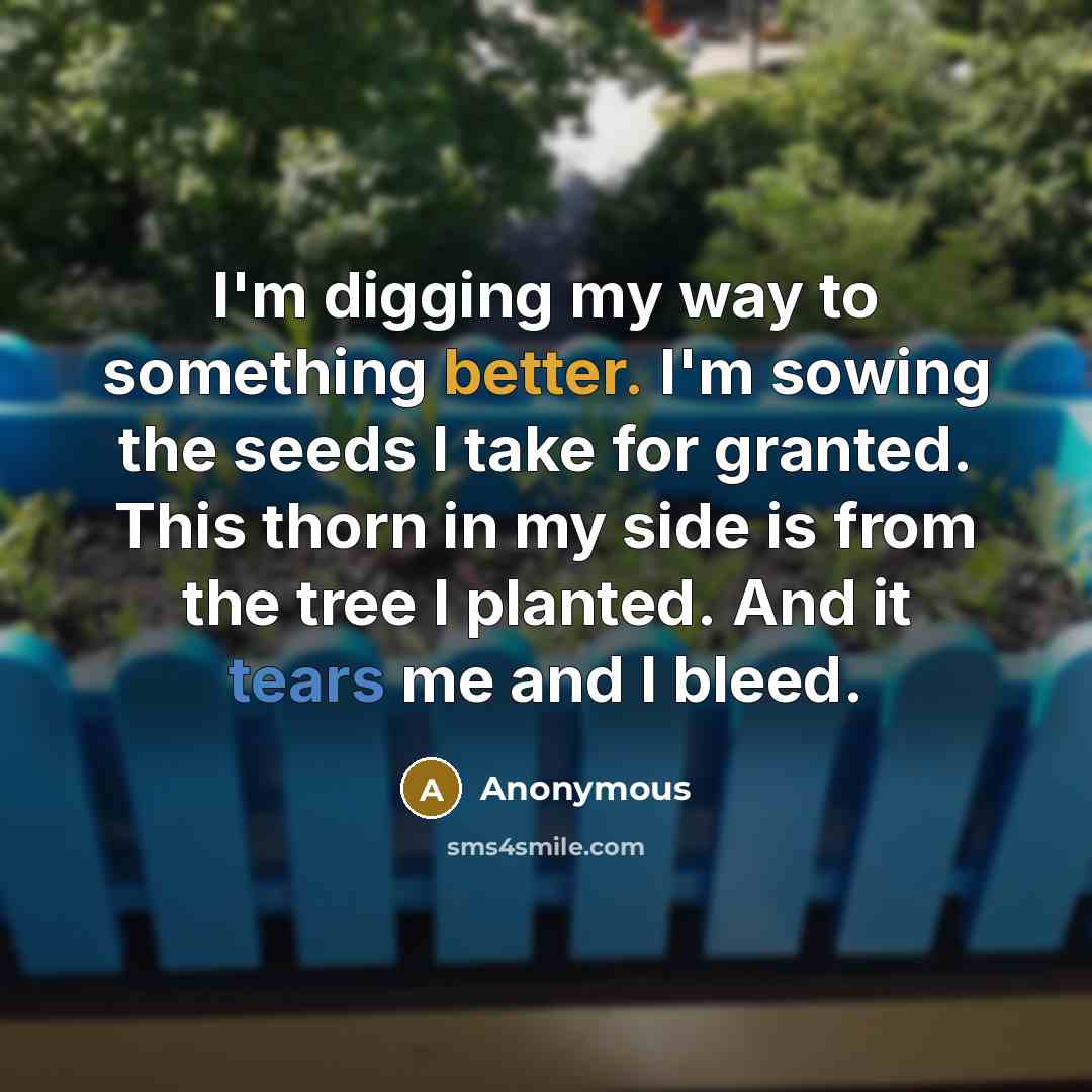 “I'm digging my way to something better. I'm sowing the seeds I take for granted. This thorn in my side is from the tree I planted. And it tears me and I bleed.” quote by Anonymous