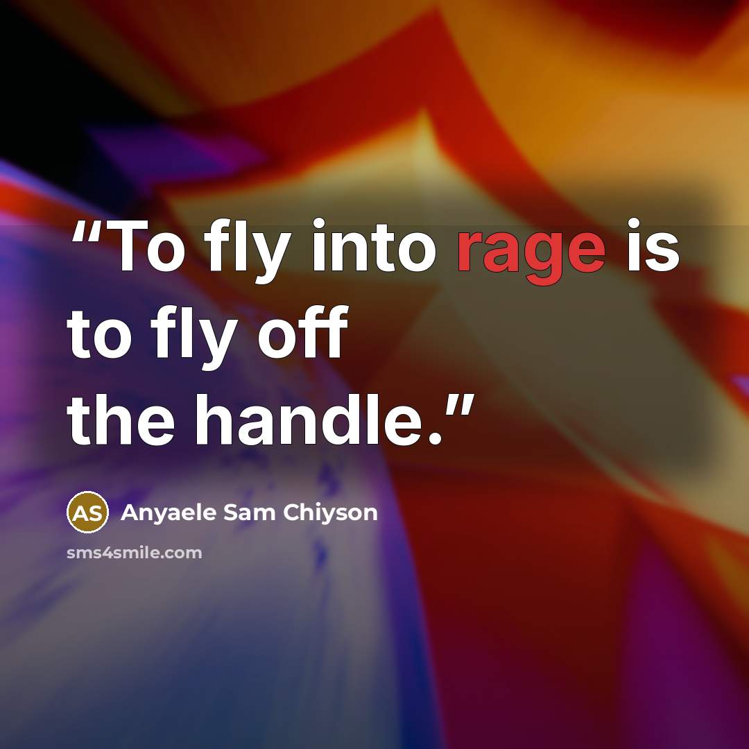 “To fly into rage is to fly off the handle.” quote by Anyaele Sam Chiyson