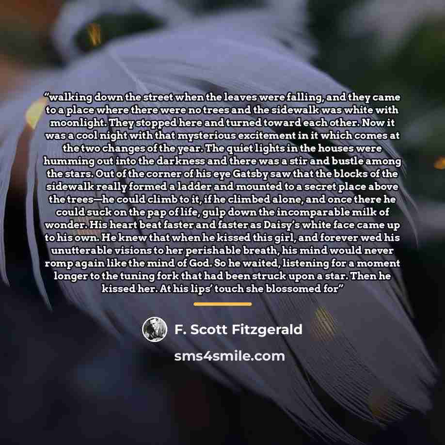 “walking down the street when the leaves were falling, and they came to a place where there were no trees and the sidewalk was white with moonlight. They stopped here and turned toward each other. Now it was a cool night with that mysterious excitement in it which comes at the two changes of the…” quote by F. Scott Fitzgerald