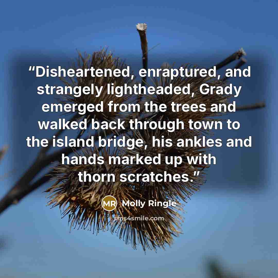 “Disheartened, enraptured, and strangely lightheaded, Grady emerged from the trees and walked back through town to the island bridge, his ankles and hands marked up with thorn scratches.” quote by Molly Ringle