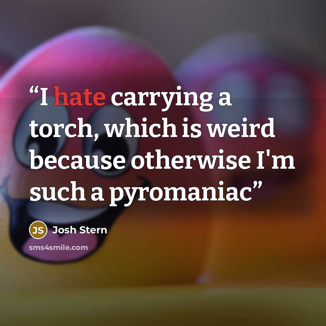 “I hate carrying a torch, which is weird because otherwise I'm such a pyromaniac” quote by Josh Stern