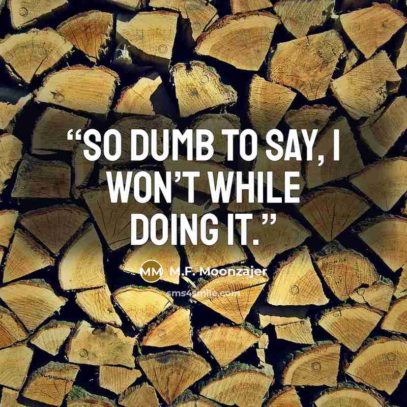 “So dumb to say, I won’t while doing it.” quote by M.F. Moonzajer