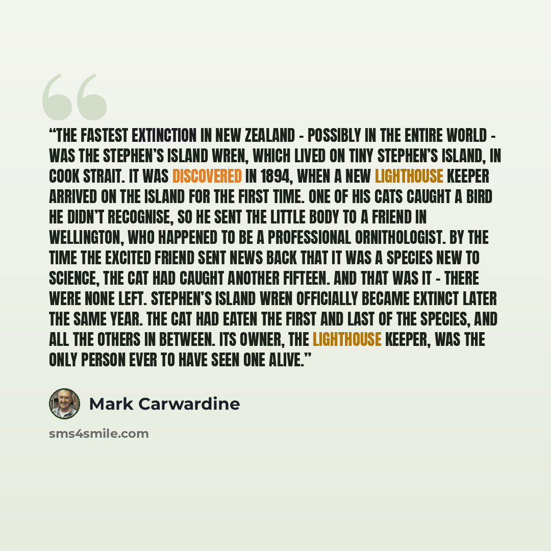 “The fastest extinction in New Zealand – possibly in the entire world – was the Stephen’s Island wren, which lived on tiny Stephen’s Island, in Cook Strait. It was discovered in 1894, when a new lighthouse keeper arrived on the island for the first time. One of his cats caught a bird he didn’t…” quote by Mark Carwardine