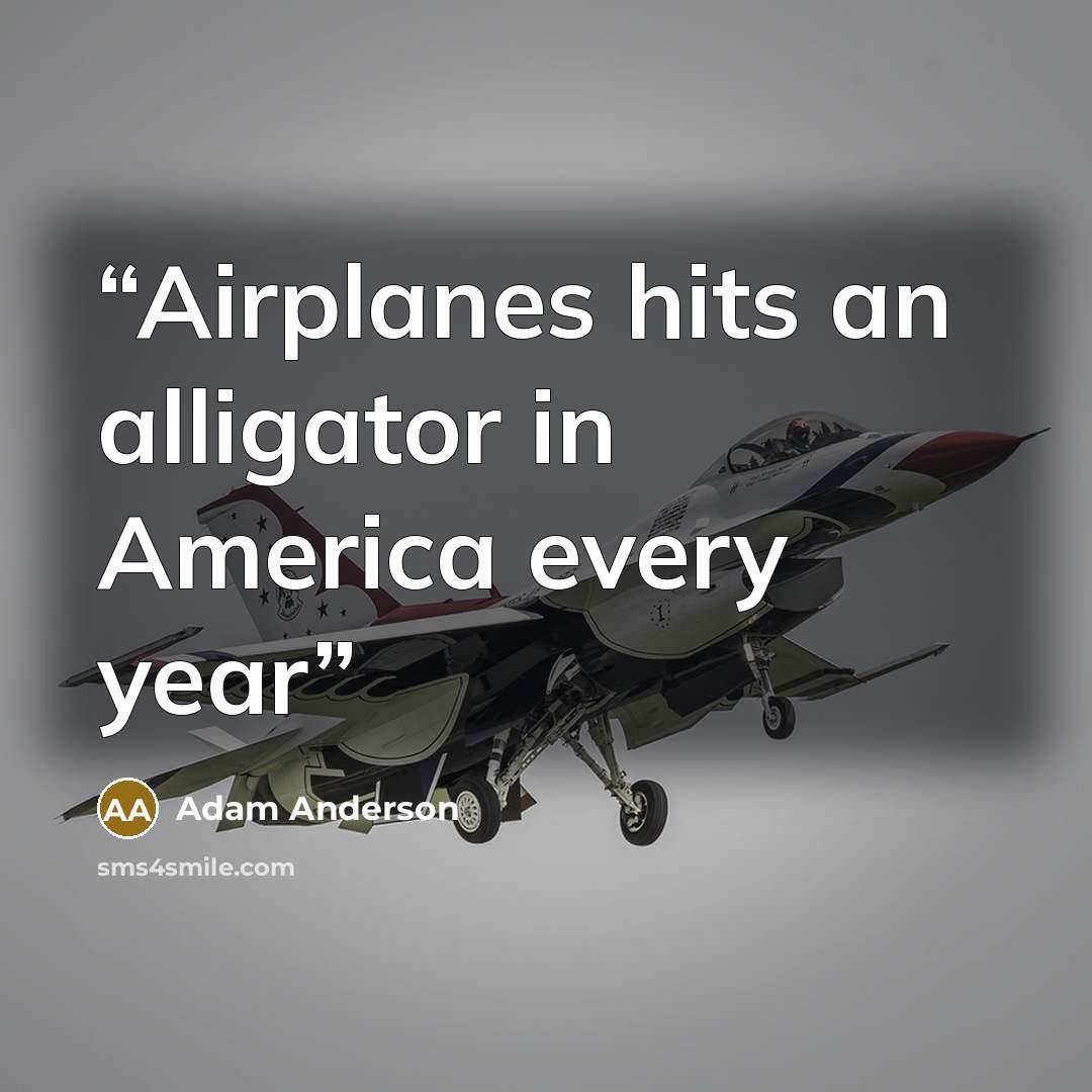 “Airplanes hits an alligator in America every year” quote by Adam Anderson
