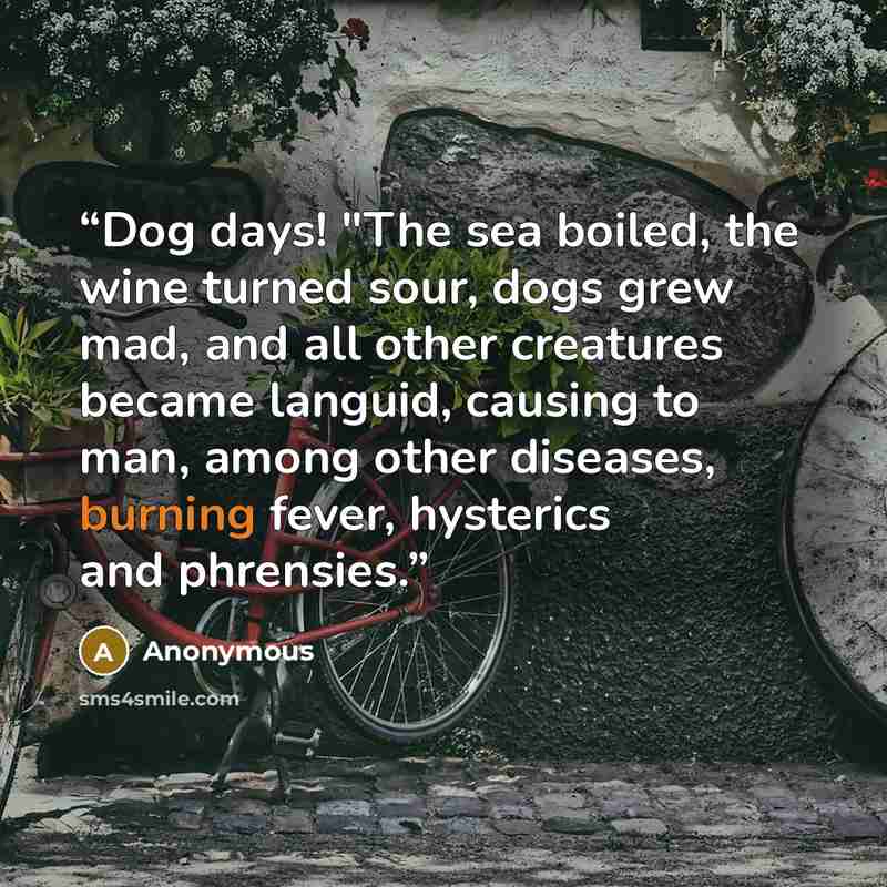 “Dog days! "The sea boiled, the wine turned sour, dogs grew mad, and all other creatures became languid, causing to man, among other diseases, burning fever, hysterics and phrensies.” quote by Anonymous