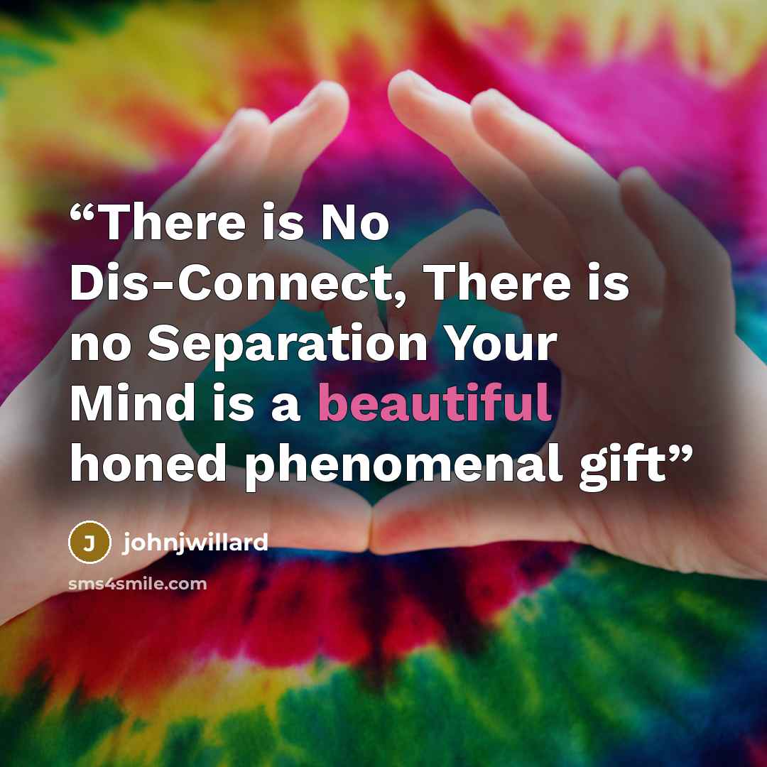 “There is No Dis-Connect, There is no Separation Your Mind is a beautiful honed phenomenal gift” quote by johnjwillard