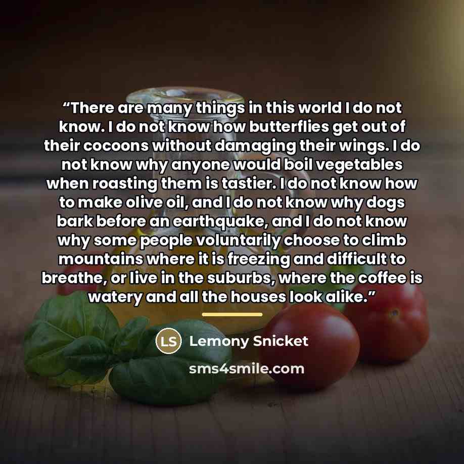 “There are many things in this world I do not know. I do not know how butterflies get out of their cocoons without damaging their wings. I do not know why anyone would boil vegetables when roasting them is tastier. I do not know how to make olive oil, and I do not know why dogs bark before an…” quote by Lemony Snicket