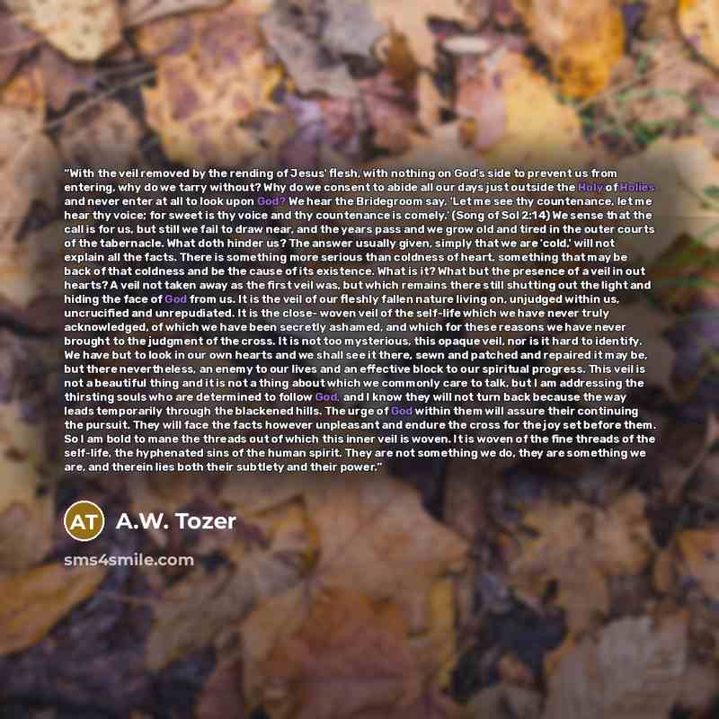 “With the veil removed by the rending of Jesus' flesh, with nothing on God's side to prevent us from entering, why do we tarry without? Why do we consent to abide all our days just outside the Holy of Holies and never enter at all to look upon God? We hear the Bridegroom say, 'Let me see thy…” quote by A.W. Tozer