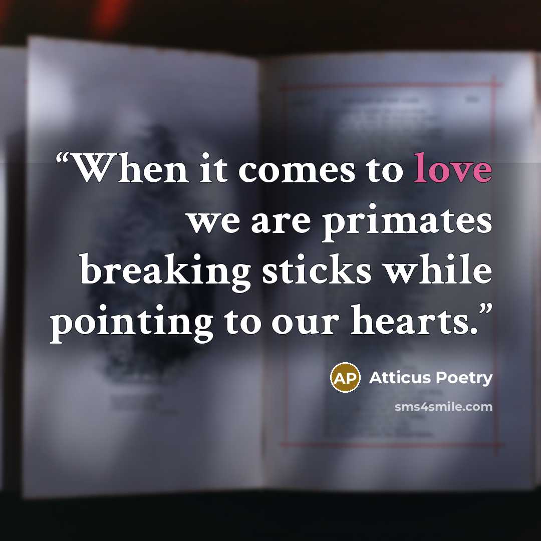 “When it comes to love we are primates breaking sticks while pointing to our hearts.” quote by Atticus Poetry