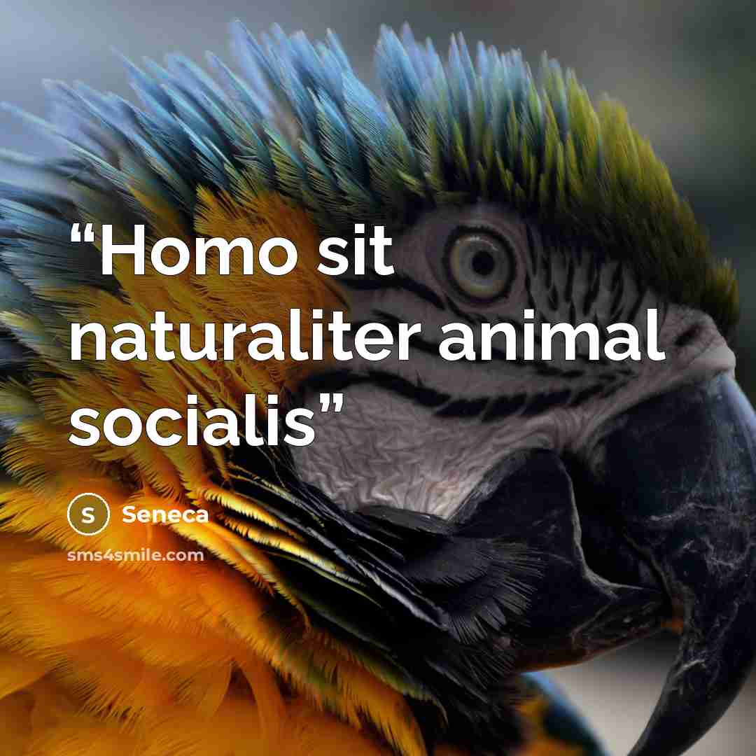 “Homo sit naturaliter animal socialis” quote by Seneca