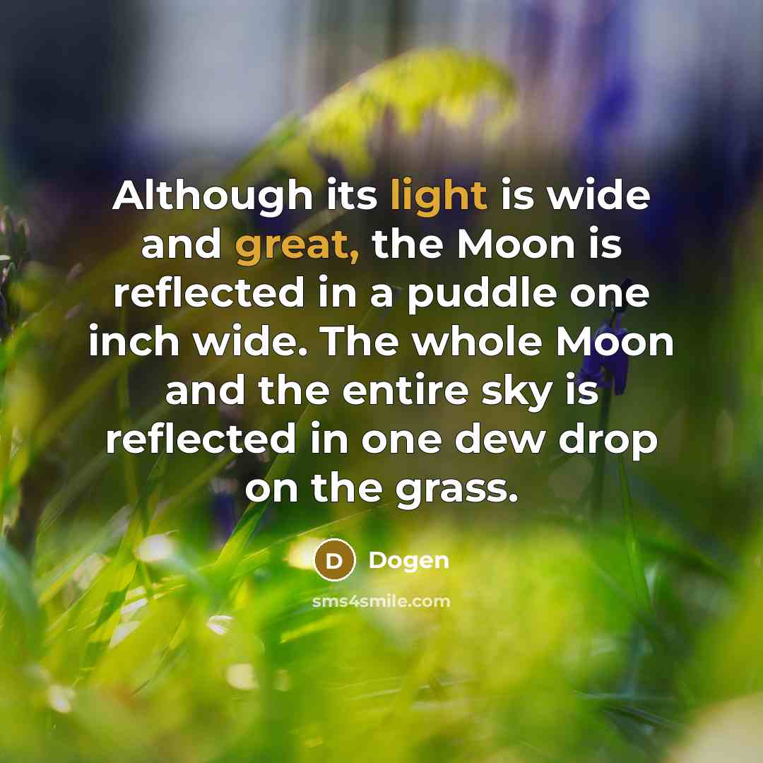 “Although its light is wide and great, the Moon is reflected in a puddle one inch wide. The whole Moon and the entire sky is reflected in one dew drop on the grass.” quote by Dogen
