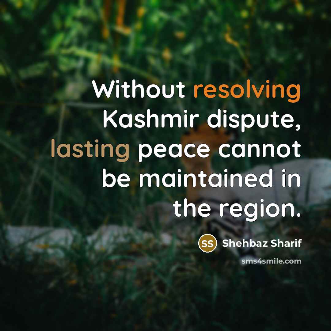 “Without resolving Kashmir dispute, lasting peace cannot be maintained in the region.” quote by Shehbaz Sharif