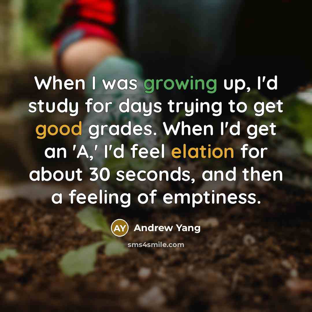 “When I was growing up, I'd study for days trying to get good grades. When I'd get an 'A,' I'd feel elation for about 30 seconds, and then a feeling of emptiness.” quote by Andrew Yang