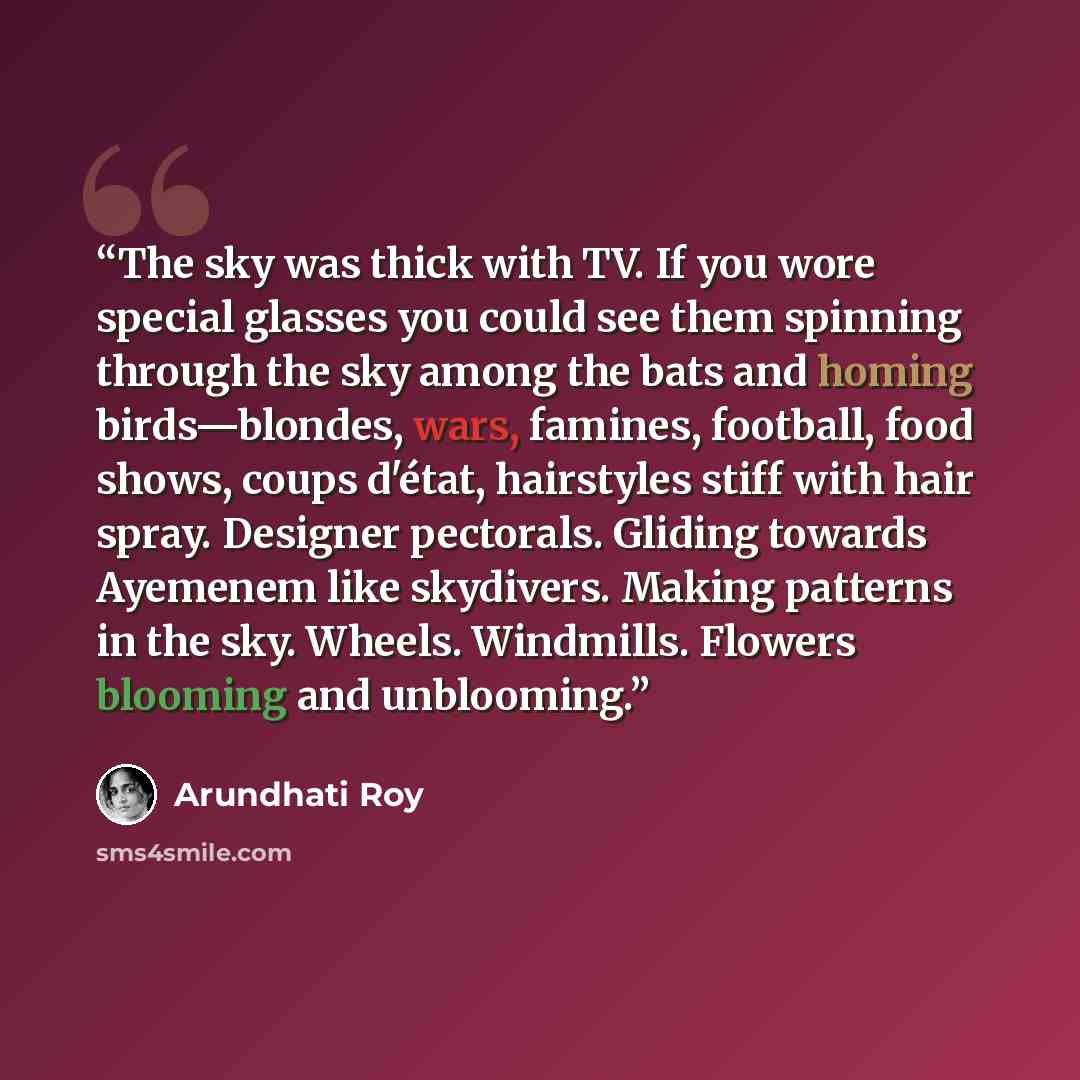“The sky was thick with TV. If you wore special glasses you could see them spinning through the sky among the bats and homing birds—blondes, wars, famines, football, food shows, coups d'état, hairstyles stiff with hair spray. Designer pectorals. Gliding towards Ayemenem like skydivers. Making…” quote by Arundhati Roy