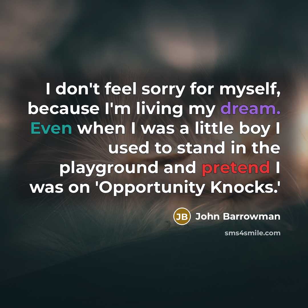 “I don't feel sorry for myself, because I'm living my dream. Even when I was a little boy I used to stand in the playground and pretend I was on 'Opportunity Knocks.'” quote by John Barrowman