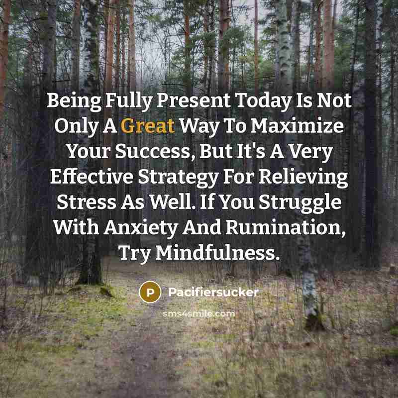 “Being Fully Present Today Is Not Only A Great Way To Maximize Your Success, But It's A Very Effective Strategy For Relieving Stress As Well. If You Struggle With Anxiety And Rumination, Try Mindfulness.” quote by Pacifiersucker