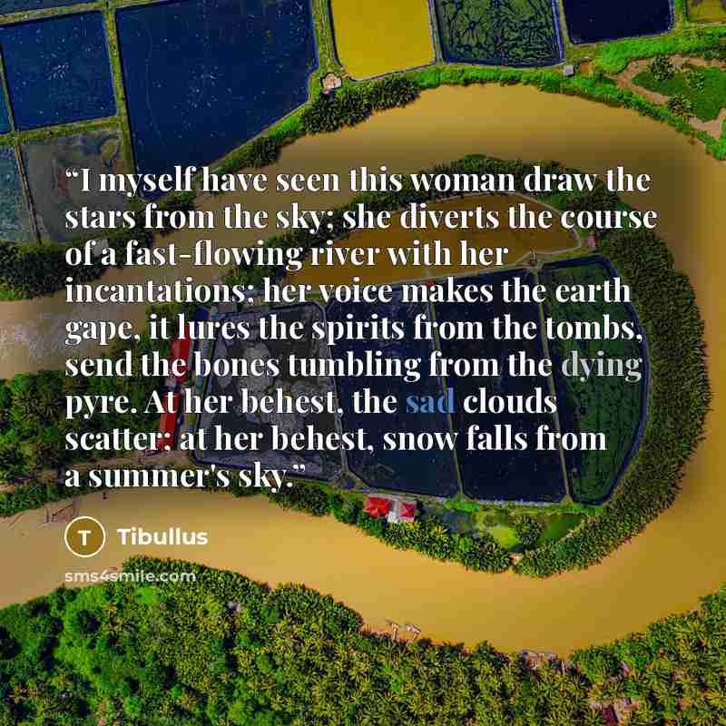 “I myself have seen this woman draw the stars from the sky; she diverts the course of a fast-flowing river with her incantations; her voice makes the earth gape, it lures the spirits from the tombs, send the bones tumbling from the dying pyre. At her behest, the sad clouds scatter; at her behest…” quote by Tibullus