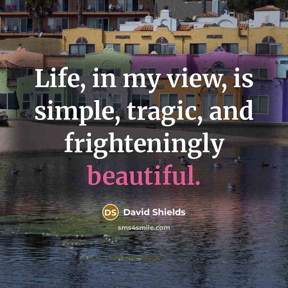 “Life, in my view, is simple, tragic, and frighteningly beautiful.” quote by David Shields
