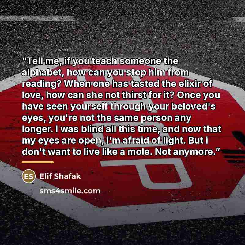 “Tell me, if you teach someone the alphabet, how can you stop him from reading? When one has tasted the elixir of love, how can she not thirst for it? Once you have seen yourself through your beloved's eyes, you're not the same person any longer. I was blind all this time, and now that my eyes are…” quote by Elif Shafak