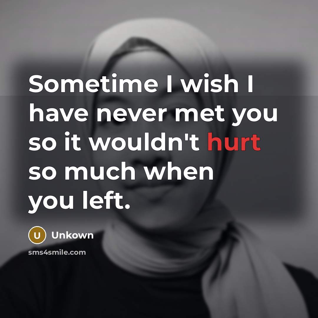 “Sometime I wish I have never met you so it wouldn't hurt so much when you left.” quote by Unkown