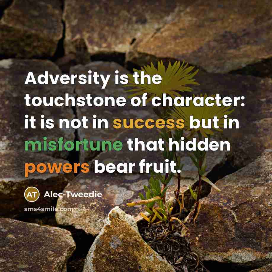“Adversity is the touchstone of character: it is not in success but in misfortune that hidden powers bear fruit.” quote by Alec-Tweedie