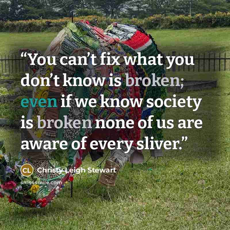 “You can’t fix what you don’t know is broken; even if we know society is broken none of us are aware of every sliver.” quote by Christy Leigh Stewart