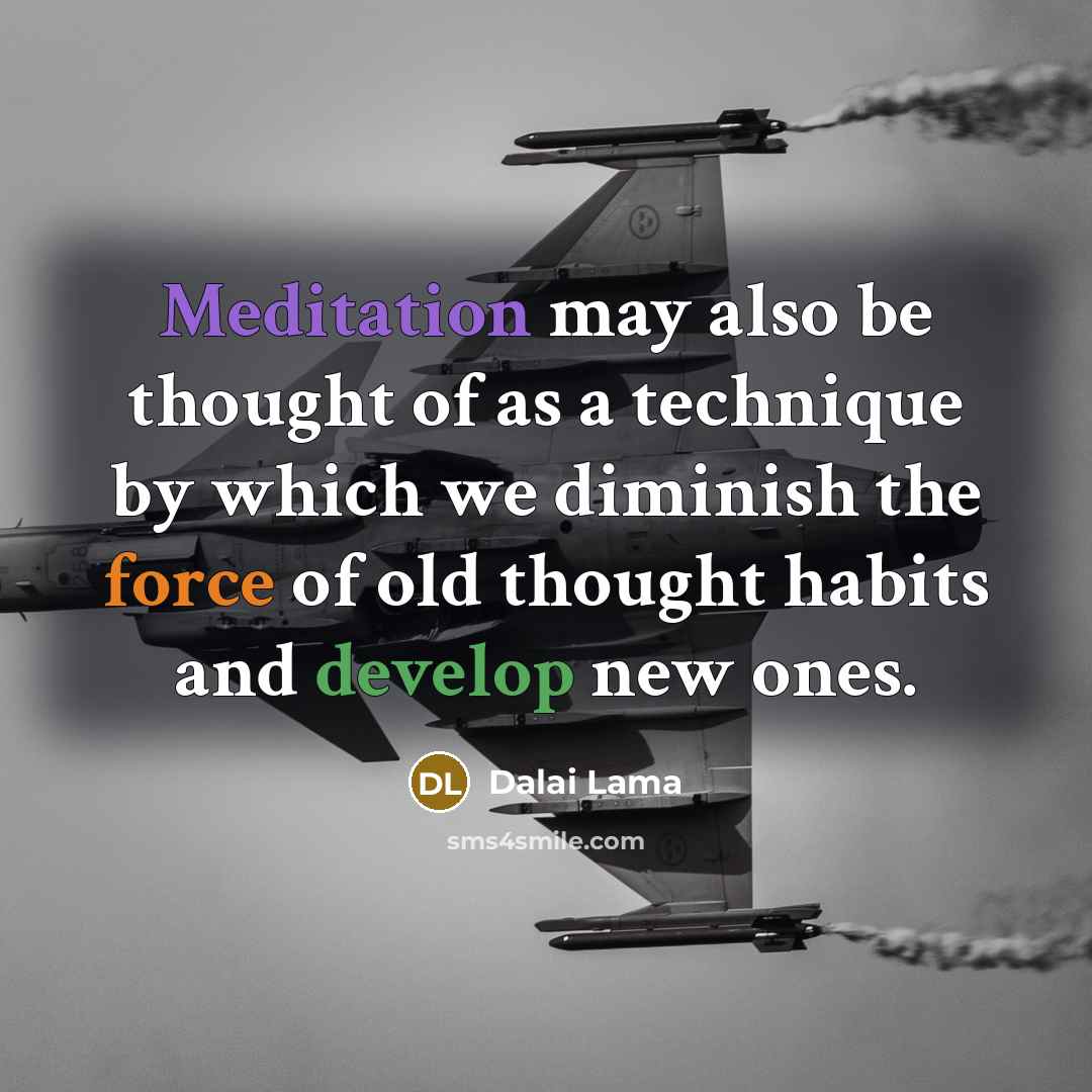 “Meditation may also be thought of as a technique by which we diminish the force of old thought habits and develop new ones.” quote by Dalai Lama