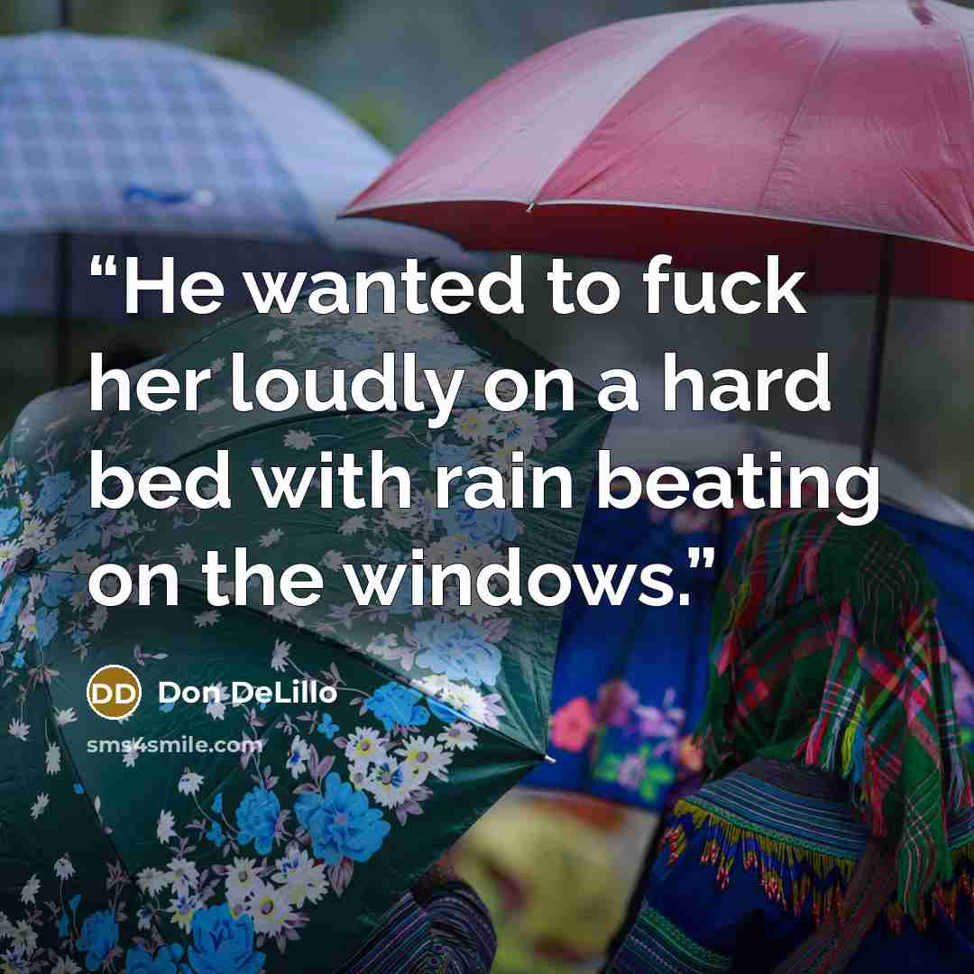 “He wanted to fuck her loudly on a hard bed with rain beating on the windows.” quote by Don DeLillo