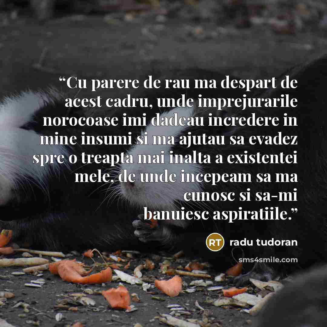 “Cu parere de rau ma despart de acest cadru, unde imprejurarile norocoase imi dadeau incredere in mine insumi si ma ajutau sa evadez spre o treapta mai inalta a existentei mele, de unde incepeam sa ma cunosc si sa-mi banuiesc aspiratiile.” quote by Radu Tudoran