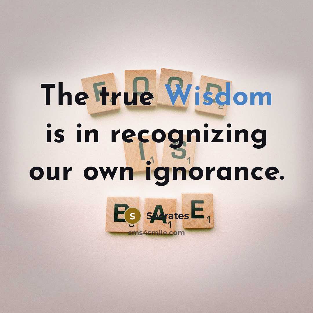 “The true Wisdom is in recognizing our own ignorance.” quote by Socrates