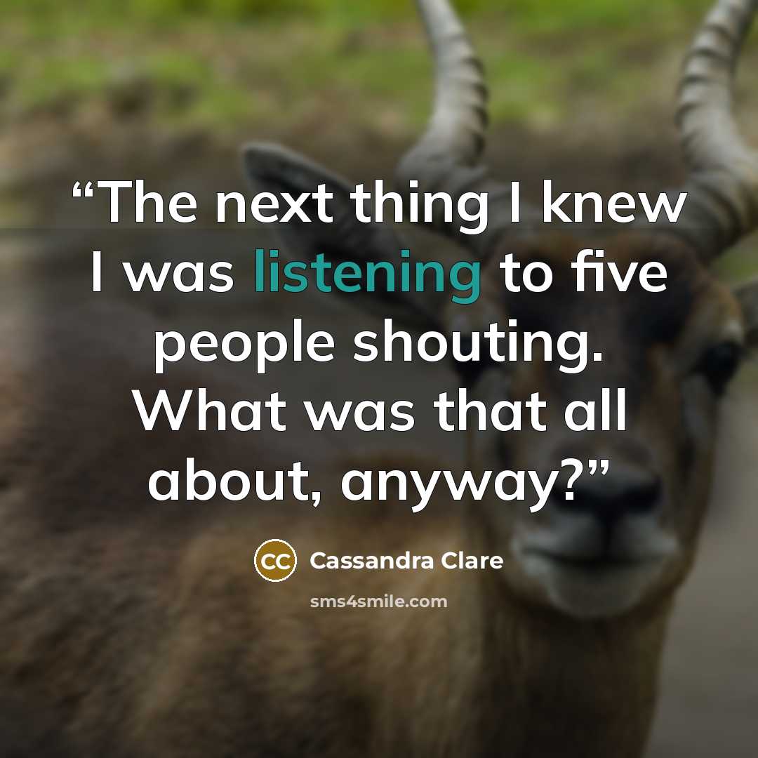 “The next thing I knew I was listening to five people shouting. What was that all about, anyway?” quote by Cassandra Clare