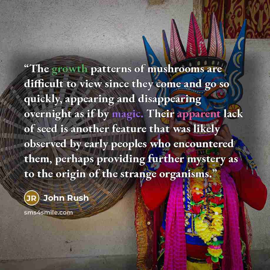 “The growth patterns of mushrooms are difficult to view since they come and go so quickly, appearing and disappearing overnight as if by magic. Their apparent lack of seed is another feature that was likely observed by early peoples who encountered them, perhaps providing further mystery as to the…” quote by John Rush
