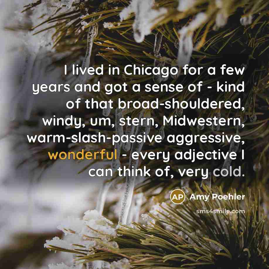 “I lived in Chicago for a few years and got a sense of - kind of that broad-shouldered, windy, um, stern, Midwestern, warm-slash-passive aggressive, wonderful - every adjective I can think of, very cold.” quote by Amy Poehler