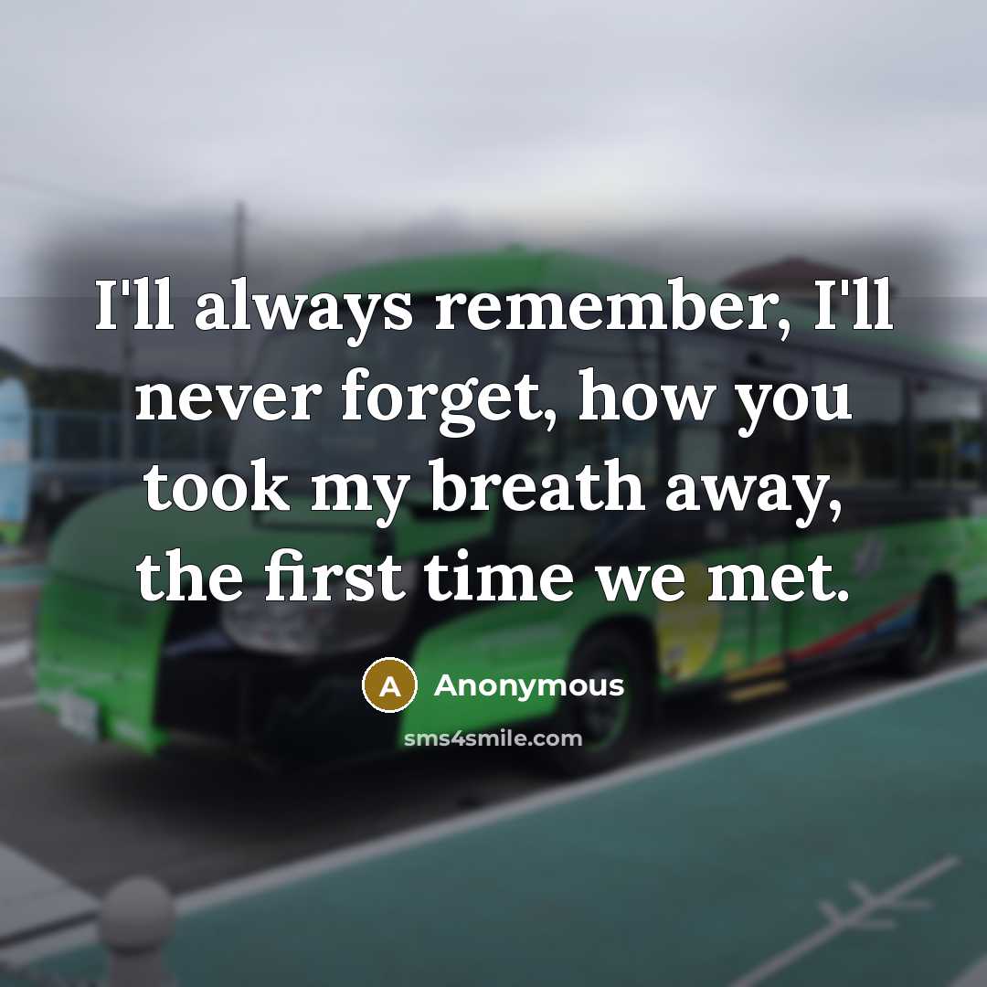 “I'll always remember, I'll never forget, how you took my breath away, the first time we met.” quote by Anonymous