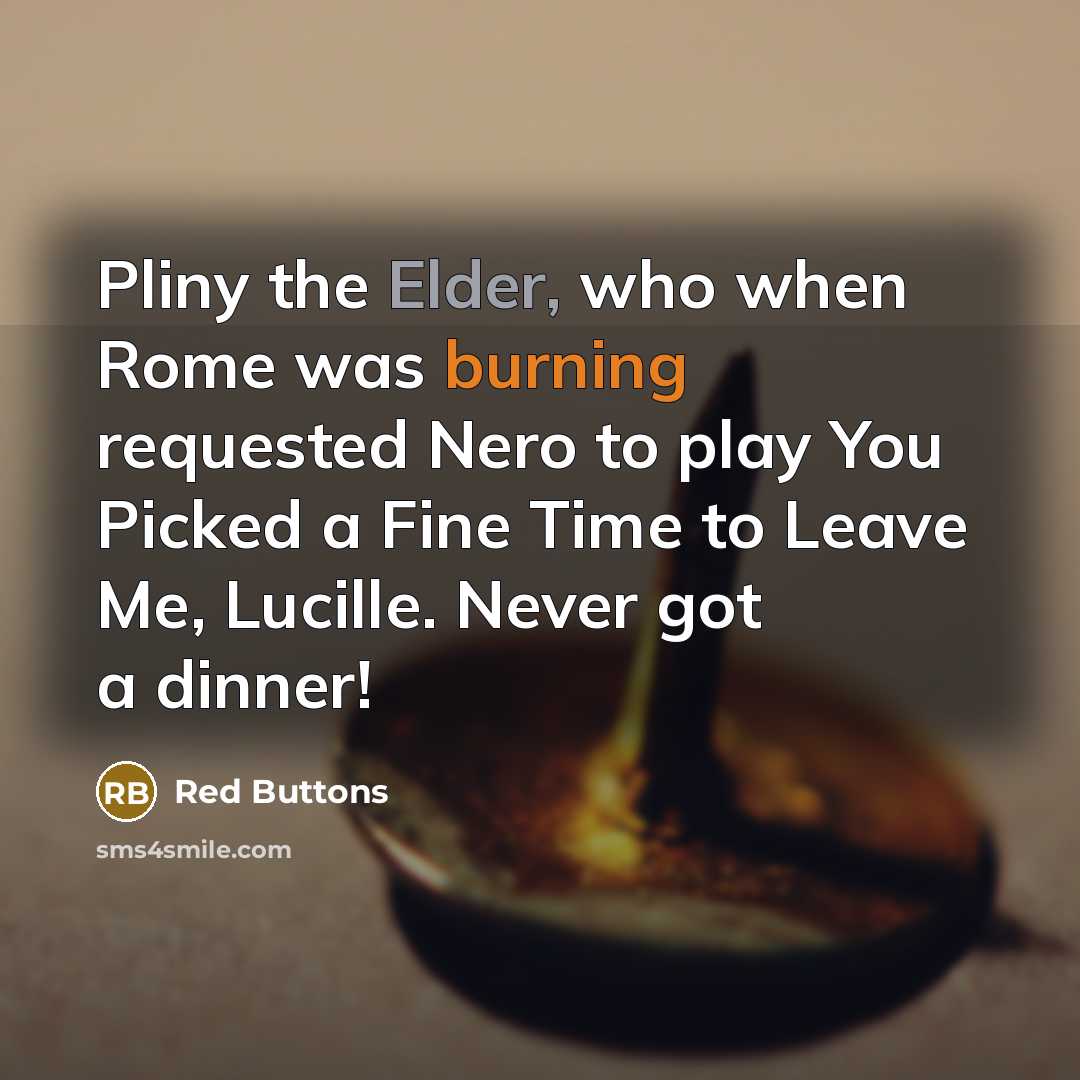 “Pliny the Elder, who when Rome was burning requested Nero to play You Picked a Fine Time to Leave Me, Lucille. Never got a dinner!” quote by Red Buttons