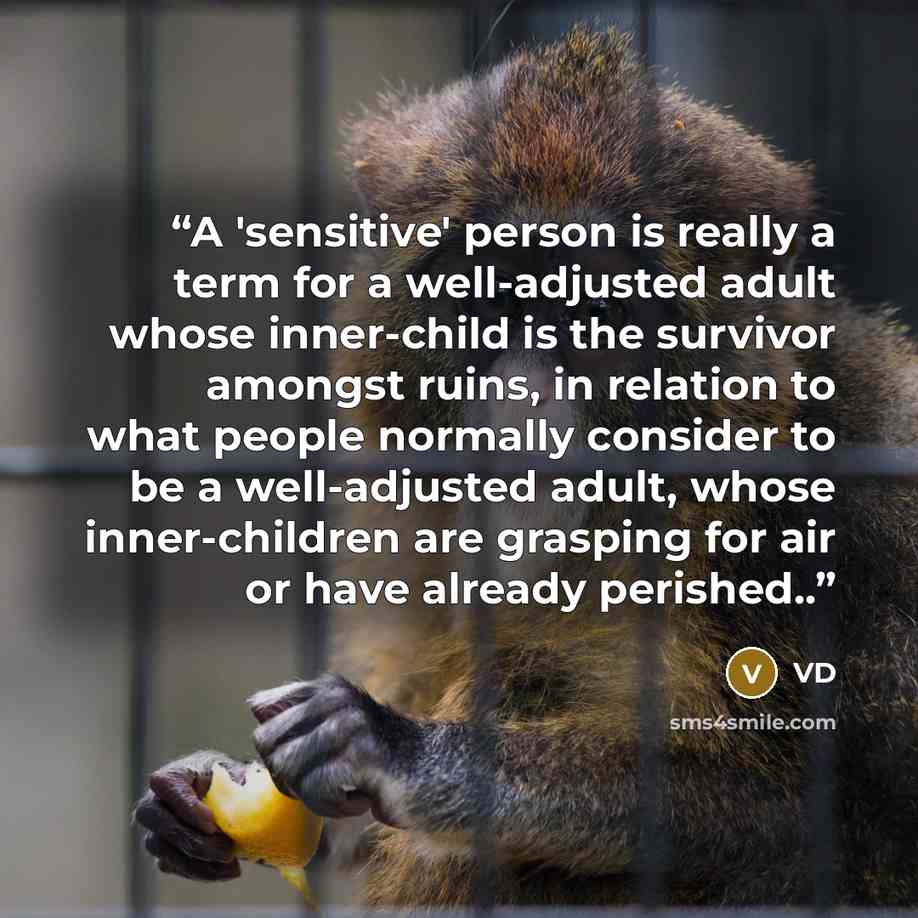 “A 'sensitive' person is really a term for a well-adjusted adult whose inner-child is the survivor amongst ruins, in relation to what people normally consider to be a well-adjusted adult, whose inner-children are grasping for air or have already perished..” quote by VD