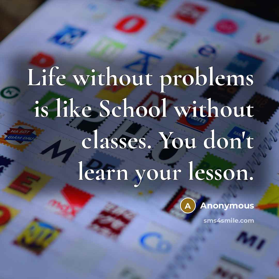 “Life without problems is like School without classes. You don't learn your lesson.” quote by Anonymous