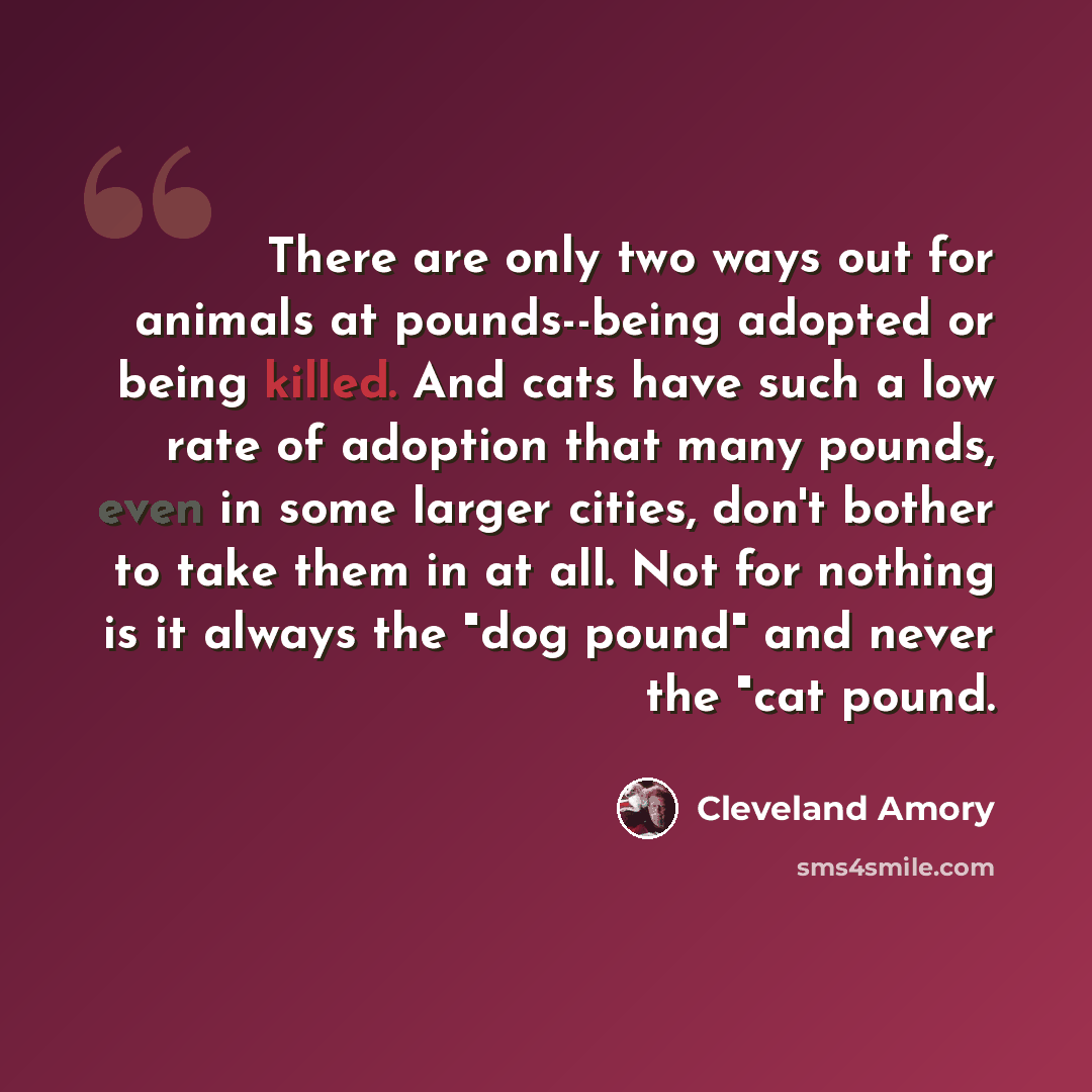 “There are only two ways out for animals at pounds--being adopted or being killed. And cats have such a low rate of adoption that many pounds, even in some larger cities, don't bother to take them in at all. Not for nothing is it always the "dog pound" and never the "cat pound.” quote by Cleveland Amory