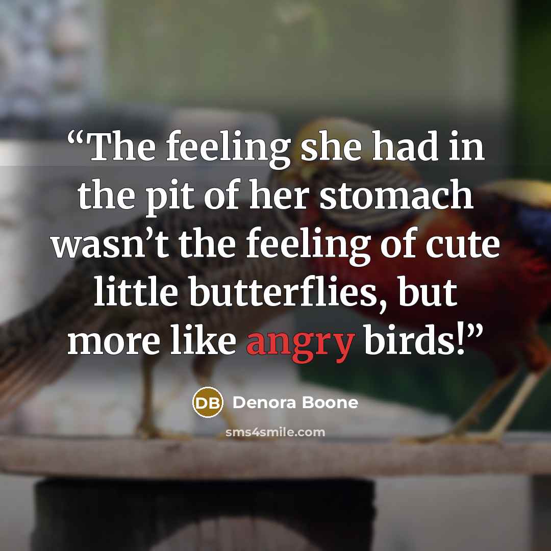 “The feeling she had in the pit of her stomach wasn’t the feeling of cute little butterflies, but more like angry birds!” quote by Denora Boone