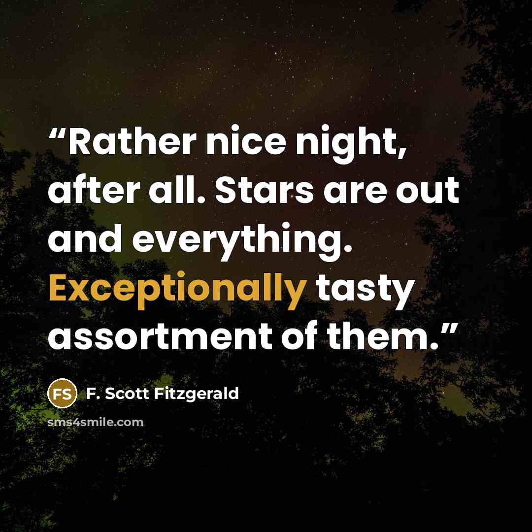 “Rather nice night, after all. Stars are out and everything. Exceptionally tasty assortment of them.” quote by F. Scott Fitzgerald