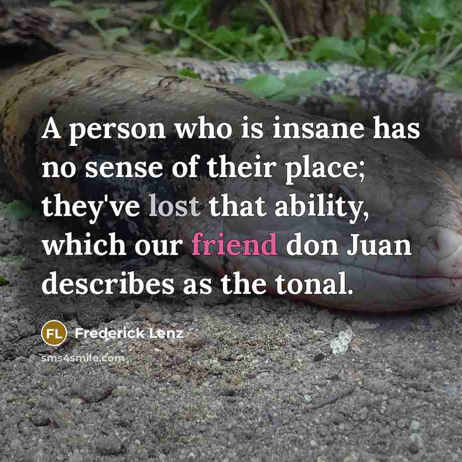 “A person who is insane has no sense of their place; they've lost that ability, which our friend don Juan describes as the tonal.” quote by Frederick Lenz