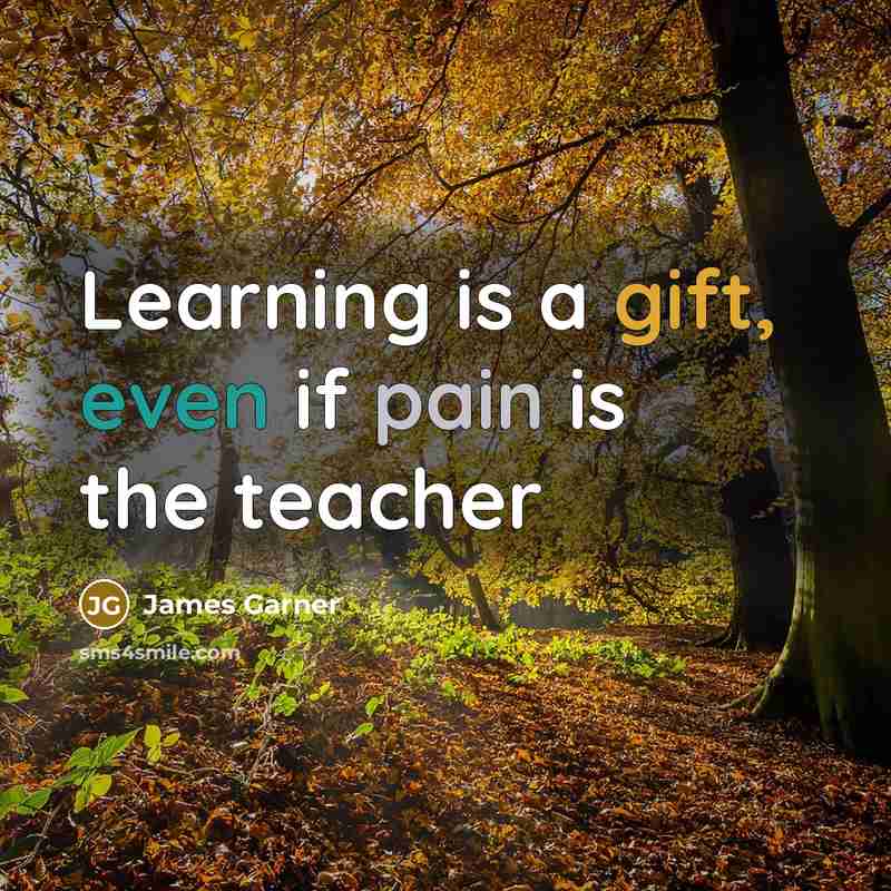 “Learning is a gift, even if pain is the teacher” quote by James Garner