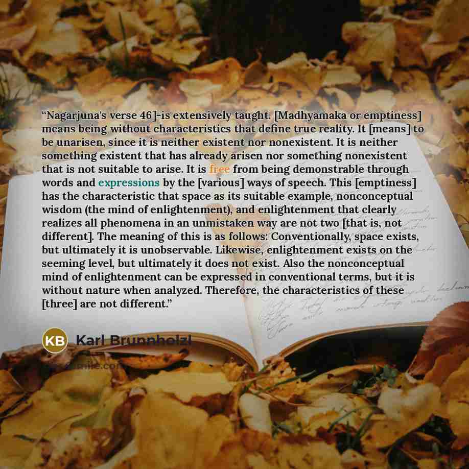 “Nagarjuna's verse 46]-is extensively taught. [Madhyamaka or emptiness] means being without characteristics that define true reality. It [means] to be unarisen, since it is neither existent nor nonexistent. It is neither something existent that has already arisen nor something nonexistent that is…” quote by Karl Brunnholzl