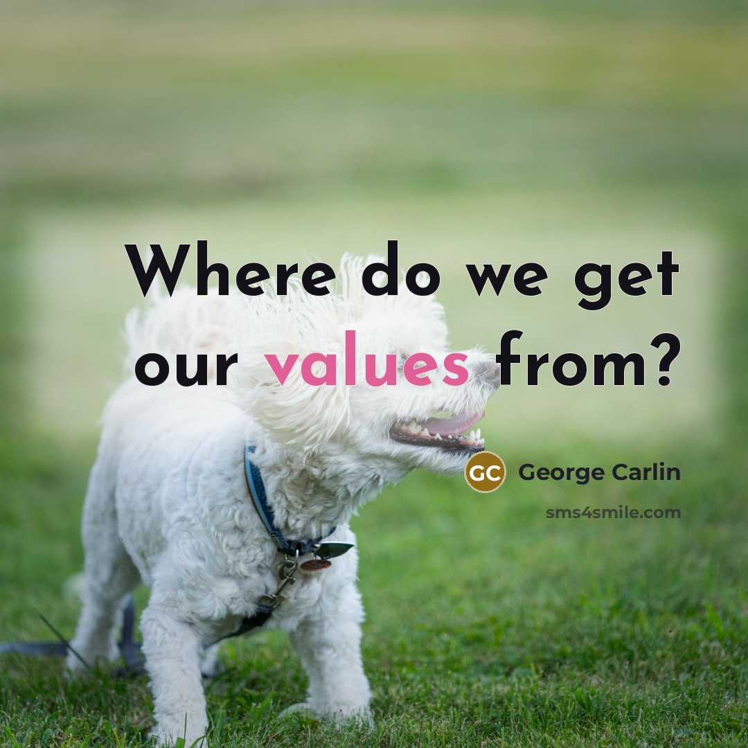 “Where do we get our values from?” quote by George Carlin