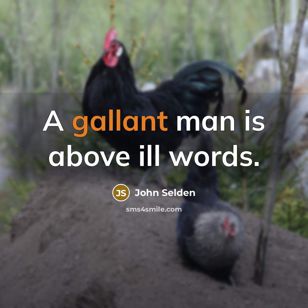 “A gallant man is above ill words.” quote by John Selden