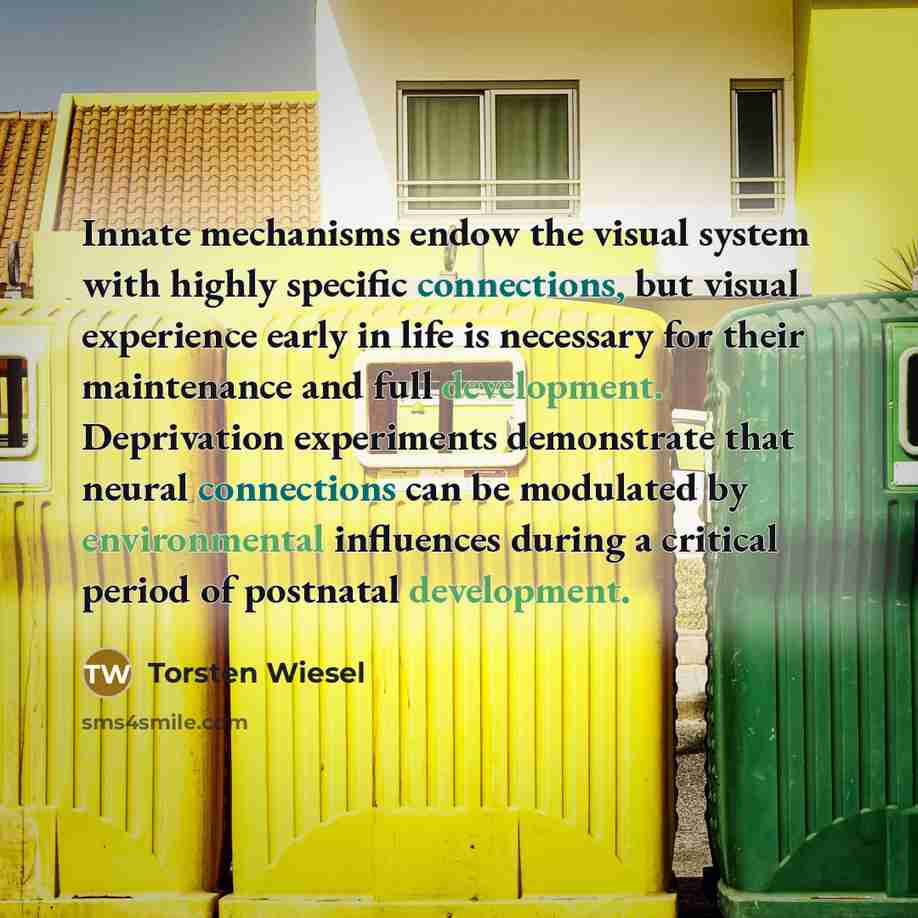 “Innate mechanisms endow the visual system with highly specific connections, but visual experience early in life is necessary for their maintenance and full development. Deprivation experiments demonstrate that neural connections can be modulated by environmental influences during a critical period…” quote by Torsten Wiesel