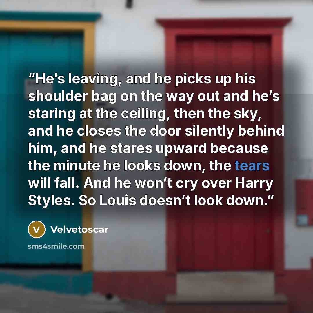 “He’s leaving, and he picks up his shoulder bag on the way out and he’s staring at the ceiling, then the sky, and he closes the door silently behind him, and he stares upward because the minute he looks down, the tears will fall. And he won’t cry over Harry Styles. So Louis doesn’t look down.” quote by Velvetoscar